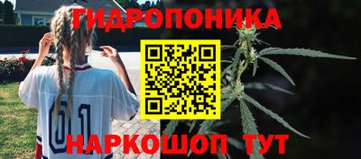мяу мяу мука Кулебаки