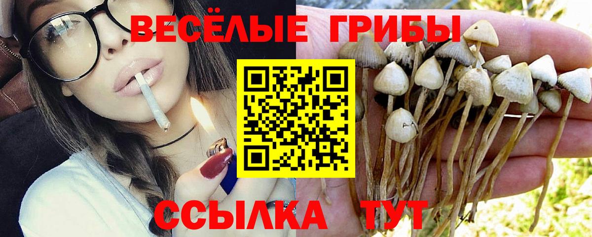 Златоуст  Псилоцибиновые грибы GOLDEN TEACHER  Вход с VPN 